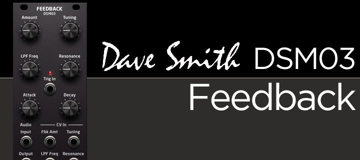 Dave Smith DSM03 Feedback